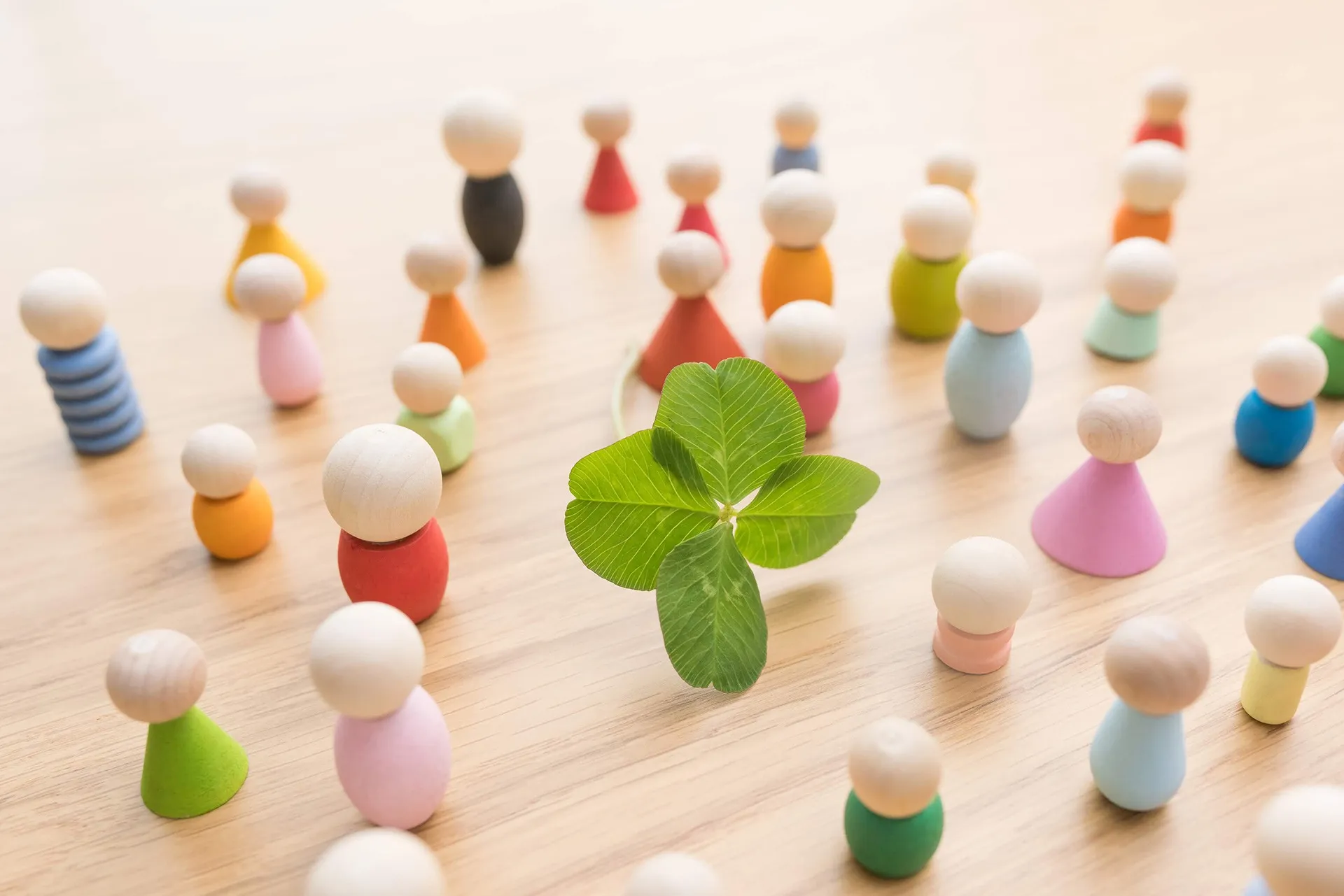 株式会社綿の華